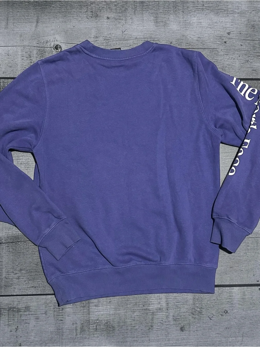 The North Face Places We Love Crewneck Sweatshirt Men’s Small Purple Graphic